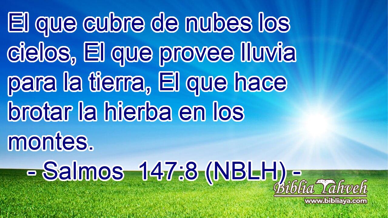  El que cubre de nubes los cielos, El que provee lluvia para la tierra, El que hace brotar la hierba en los montes. 