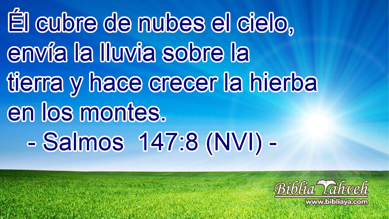 Él cubre de nubes el cielo, envía la lluvia sobre la tierra y hace crecer la hierba en los montes. 