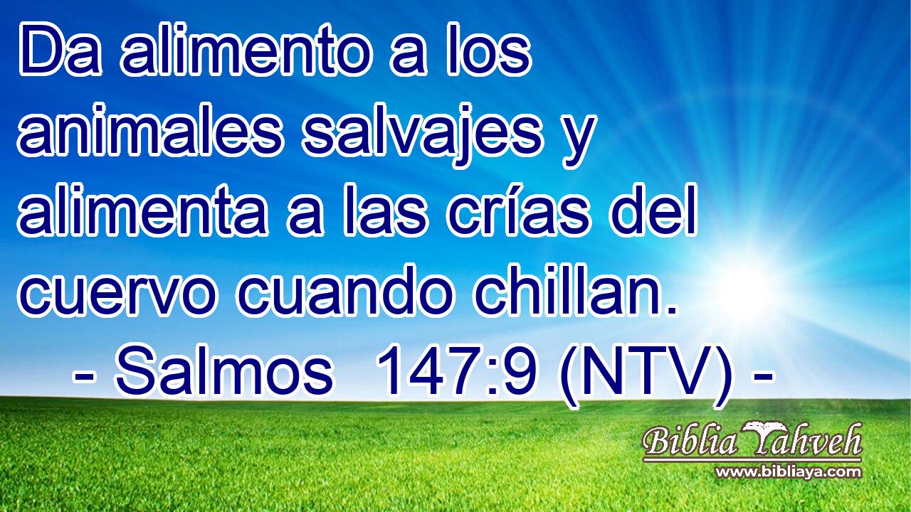 Da alimento a los animales salvajes y alimenta a las crías del cuervo cuando chillan.