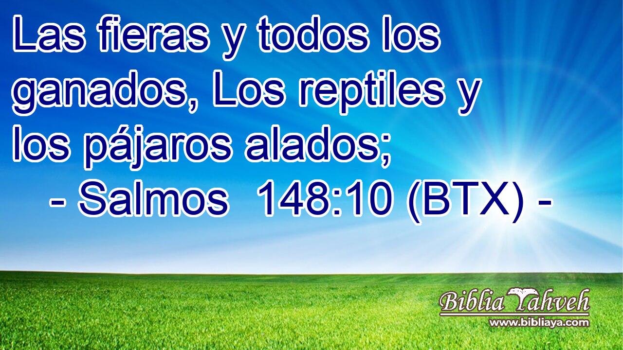 Las fieras y todos los ganados, Los reptiles y los pájaros alados;