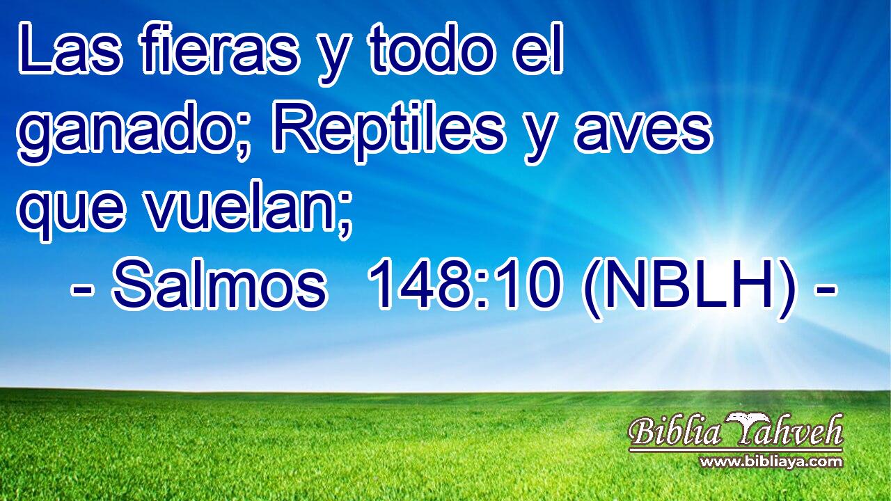  Las fieras y todo el ganado; Reptiles y aves que vuelan; 
