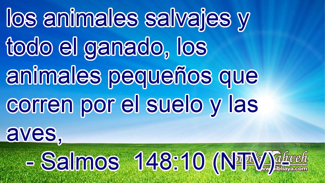 los animales salvajes y todo el ganado, los animales pequeños que corren por el suelo y las aves,