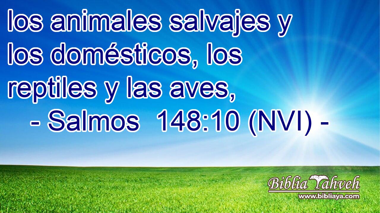 los animales salvajes y los domésticos, los reptiles y las aves, 