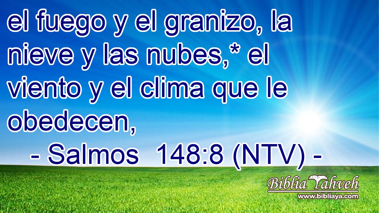 el fuego y el granizo, la nieve y las nubes,* el viento y el clima que le obedecen,