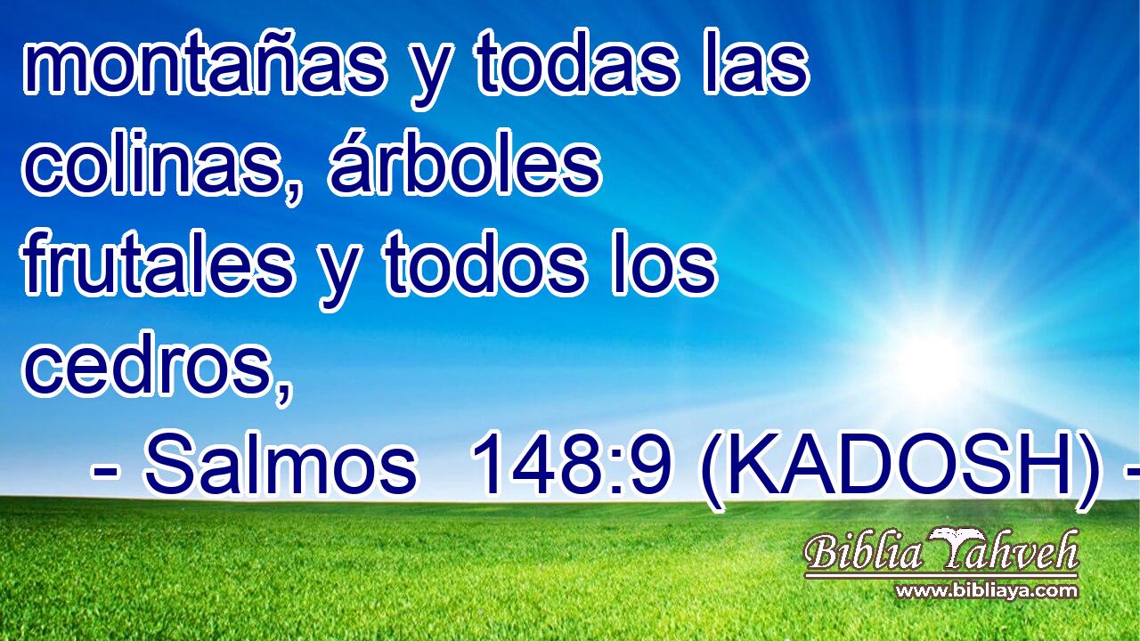  montañas y todas las colinas, árboles frutales y todos los cedros, 