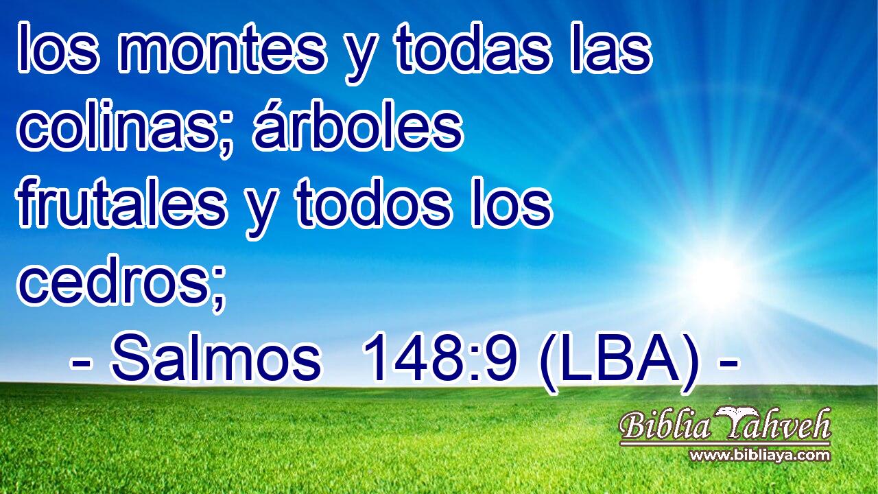 los montes y todas las colinas; árboles frutales y todos los cedros;