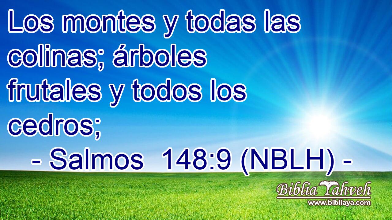  Los montes y todas las colinas; árboles frutales y todos los cedros; 