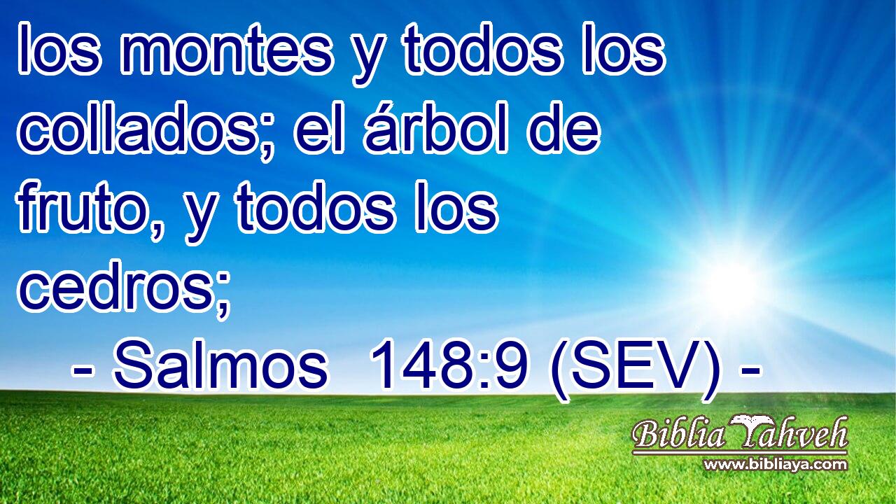 los montes y todos los collados; el árbol de fruto, y todos los cedros;