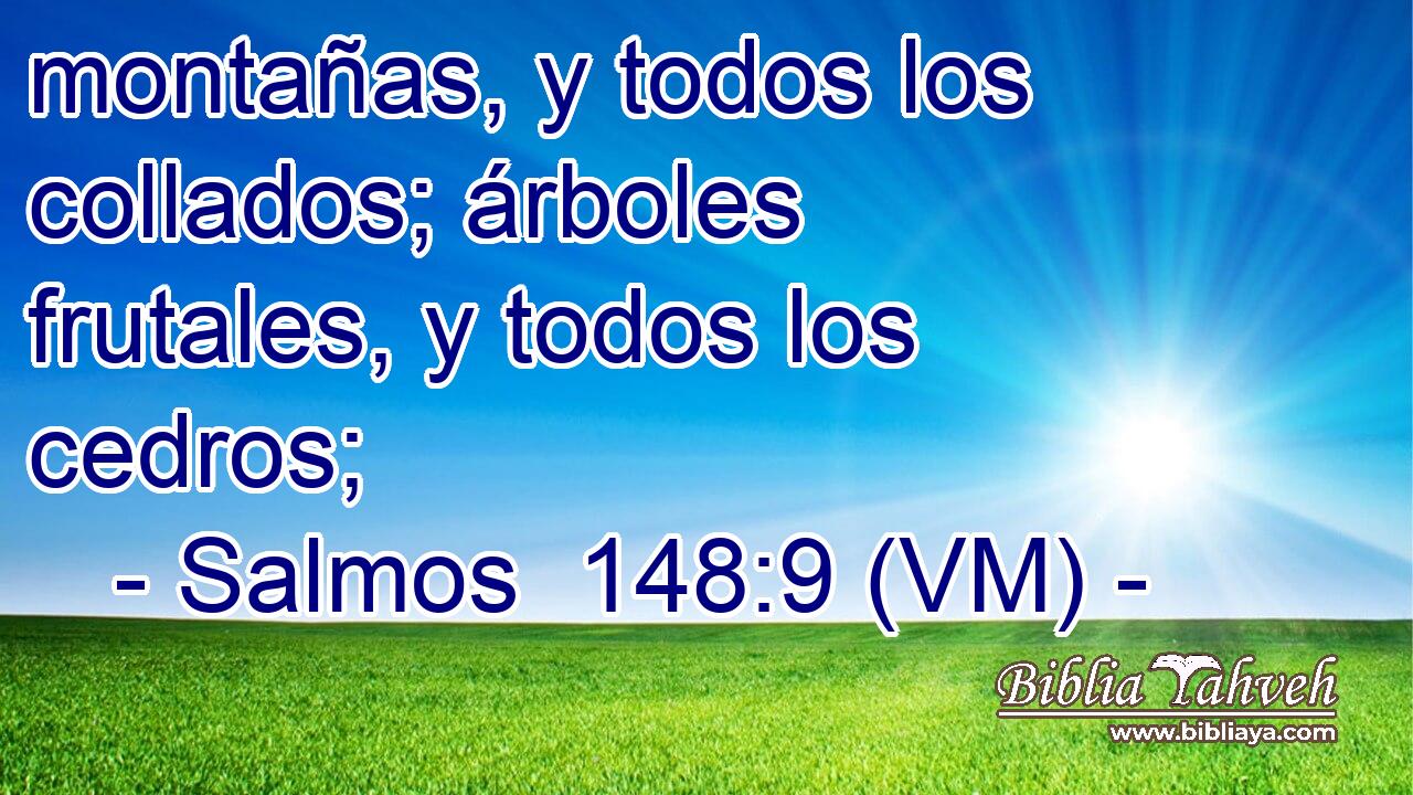  montañas, y todos los collados; árboles frutales, y todos los cedros; 
