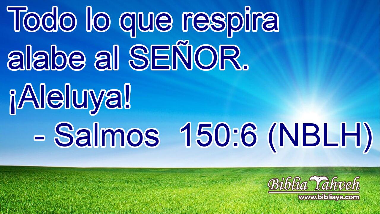  Todo lo que respira alabe al SEÑOR. ¡Aleluya! 