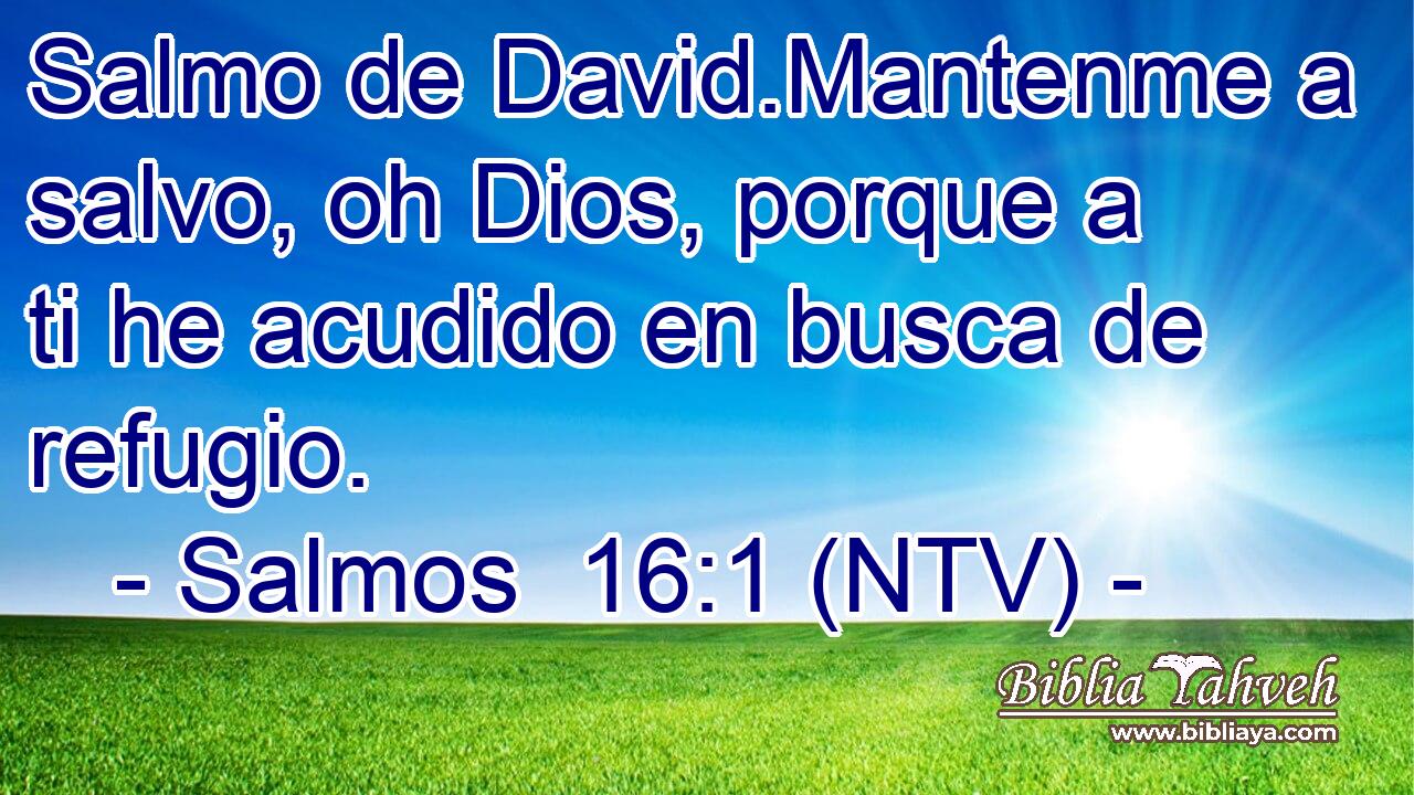 Salmo de David.Mantenme a salvo, oh Dios, porque a ti he acudido en busca de refugio.