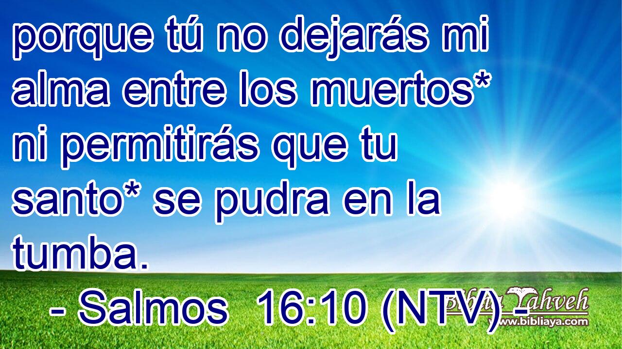 porque tú no dejarás mi alma entre los muertos* ni permitirás que tu santo* se pudra en la tumba.