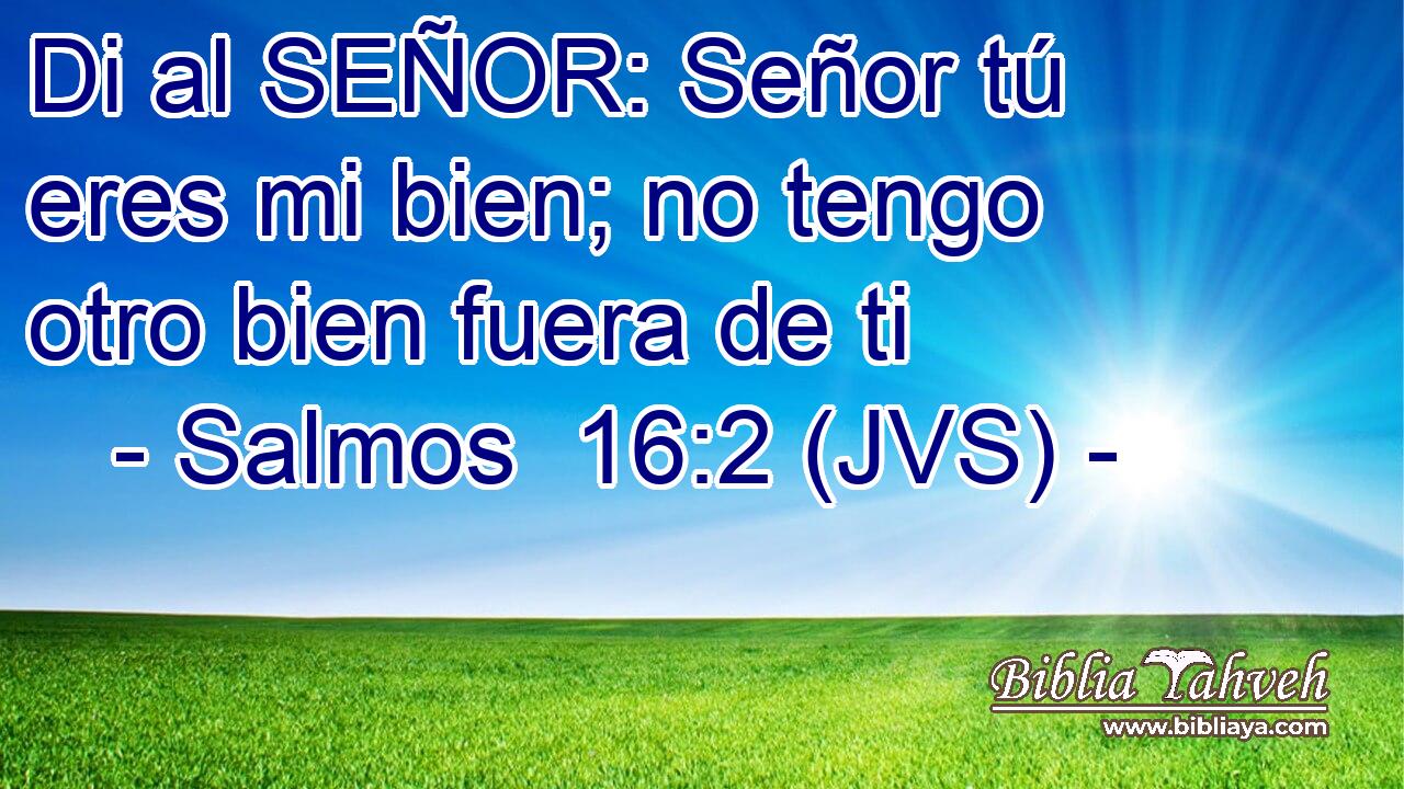 Di al SEÑOR: Señor tú eres mi bien; no tengo otro bien fuera de ti
