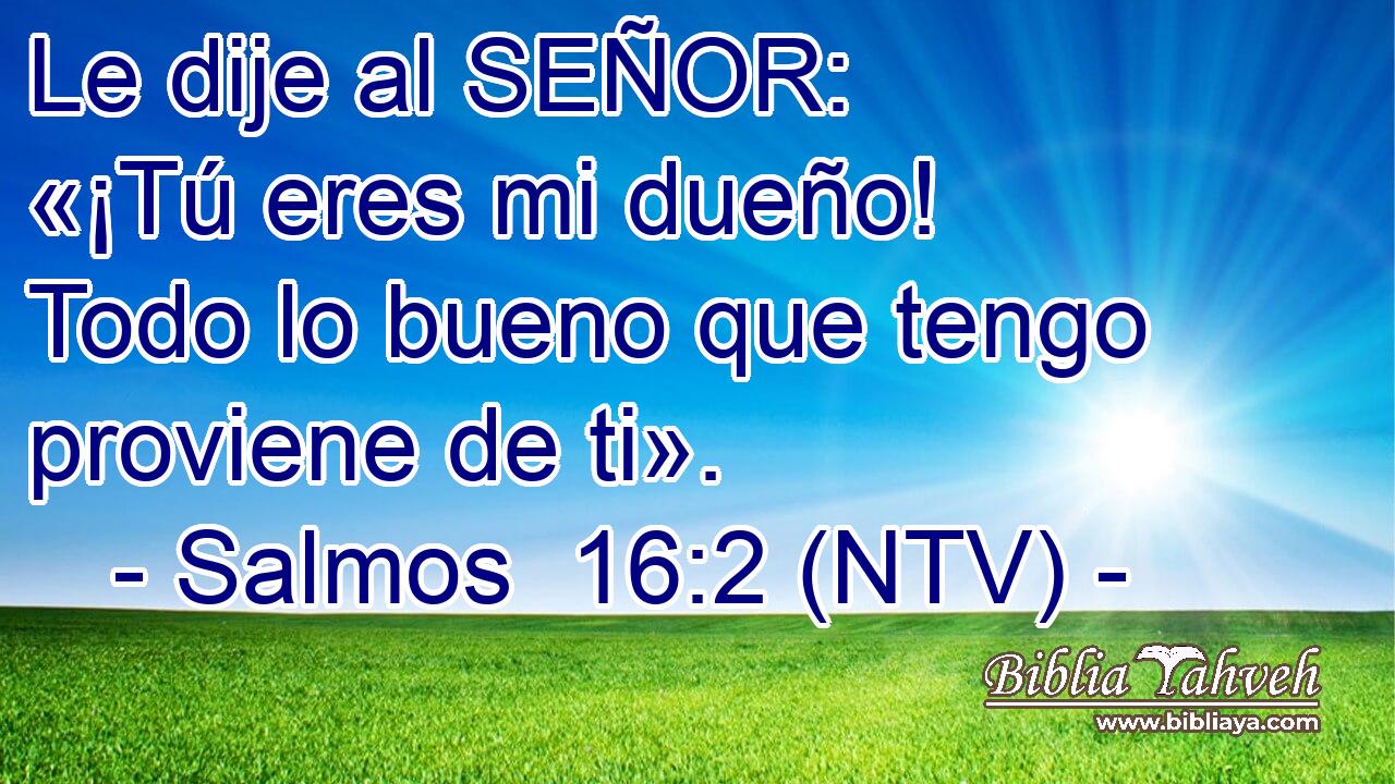 Le dije al SEÑOR: «¡Tú eres mi dueño! Todo lo bueno que tengo proviene de ti».