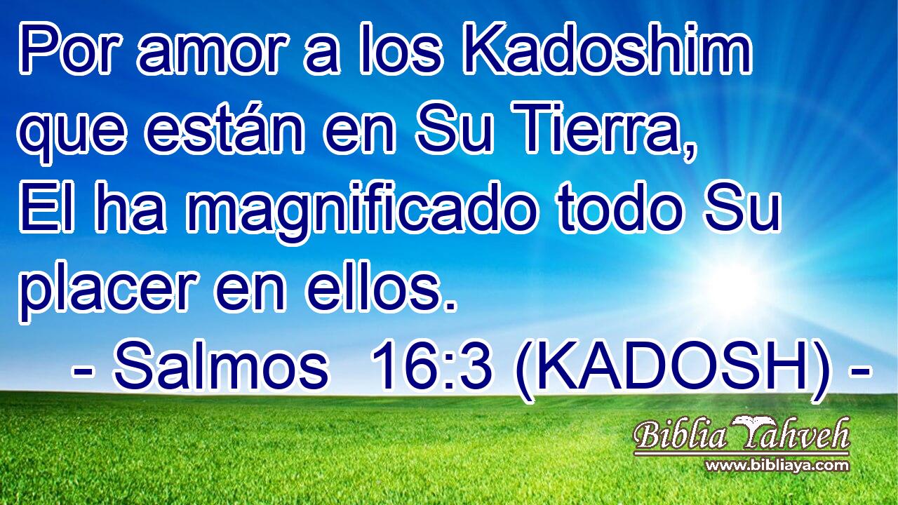  Por amor a los Kadoshim que están en Su Tierra, El ha magnificado todo Su placer en ellos. 