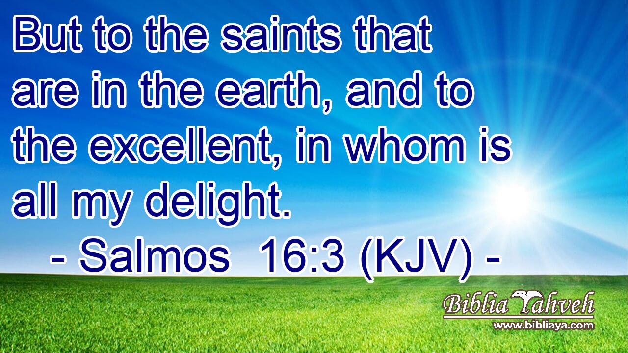 But to the saints that are in the earth, and to the excellent, in whom is all my delight.