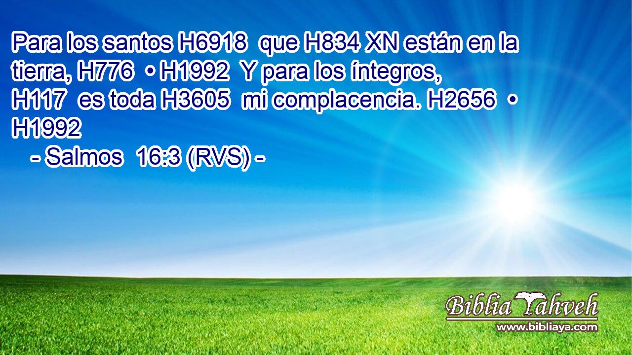 Para los santos H6918  que H834 XN están en la tierra, H776  • H1992  Y para los íntegros, H117  es toda H3605  mi complacencia. H2656  • H1992  