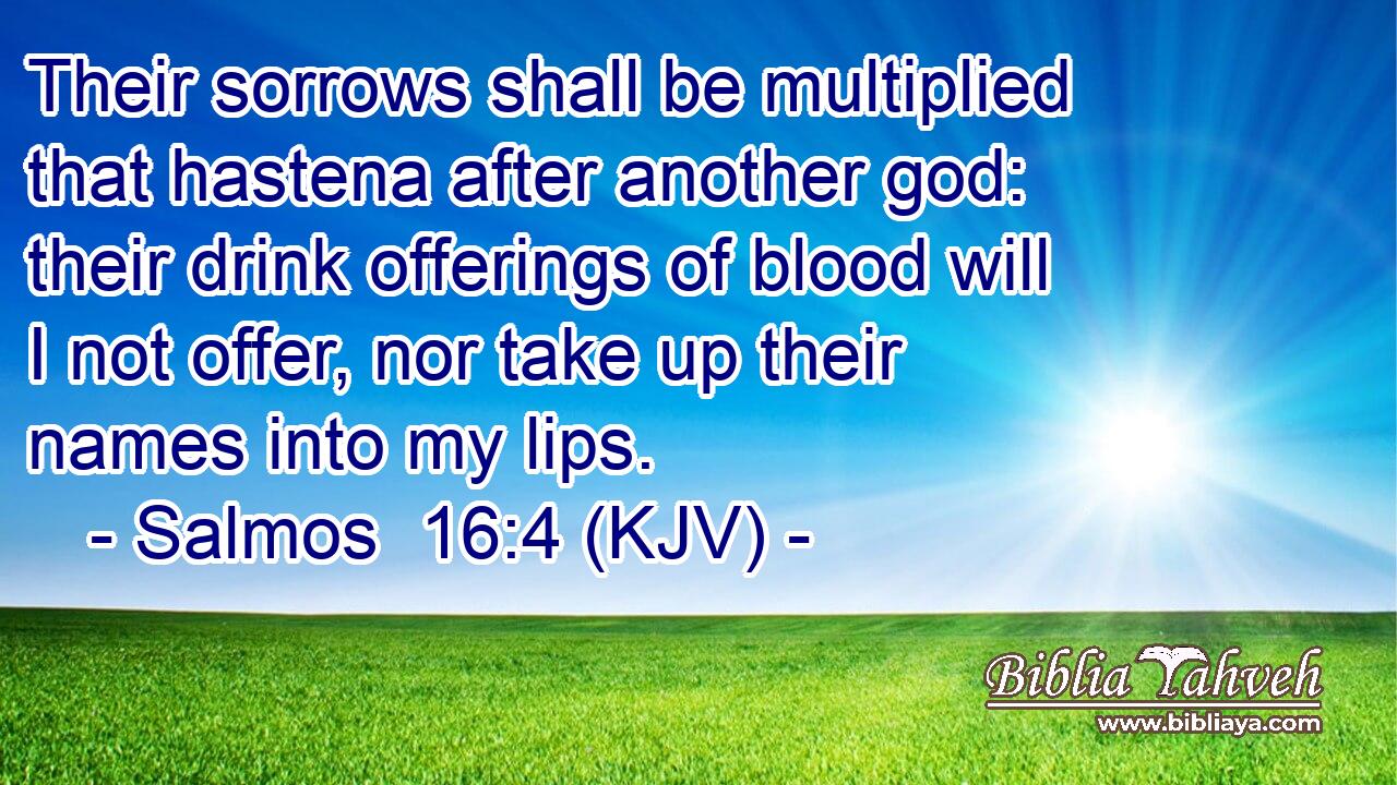 Their sorrows shall be multiplied that hastena after another god: their drink offerings of blood will I not offer, nor take up their names into my lips.
