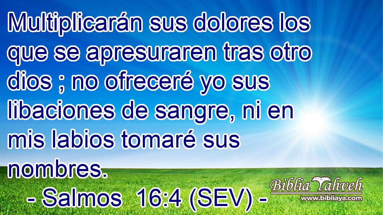 Multiplicarán sus dolores los que se apresuraren tras otro dios ; no ofreceré yo sus libaciones de sangre, ni en mis labios tomaré sus nombres.