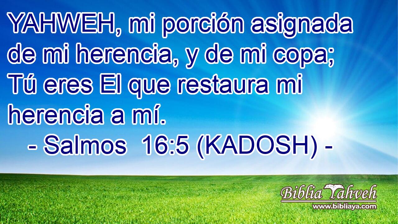  YAHWEH, mi porción asignada de mi herencia, y de mi copa; Tú eres El que restaura mi herencia a mí. 