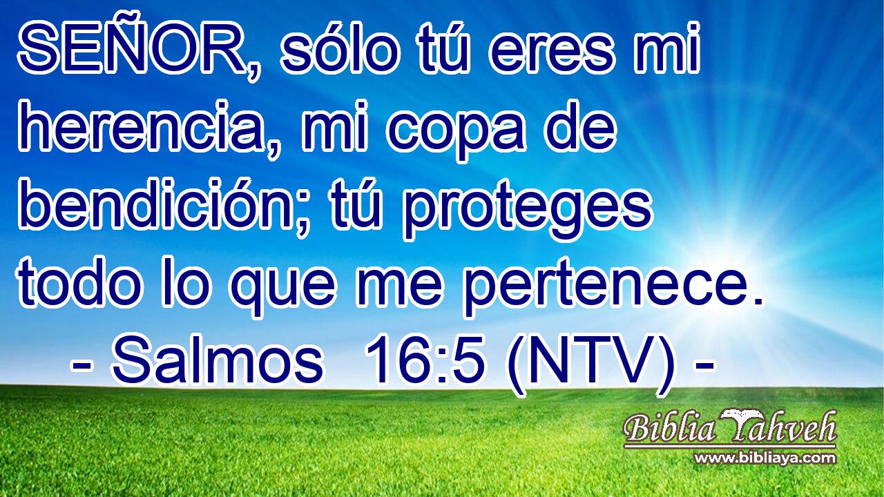 SEÑOR, sólo tú eres mi herencia, mi copa de bendición; tú proteges todo lo que me pertenece.