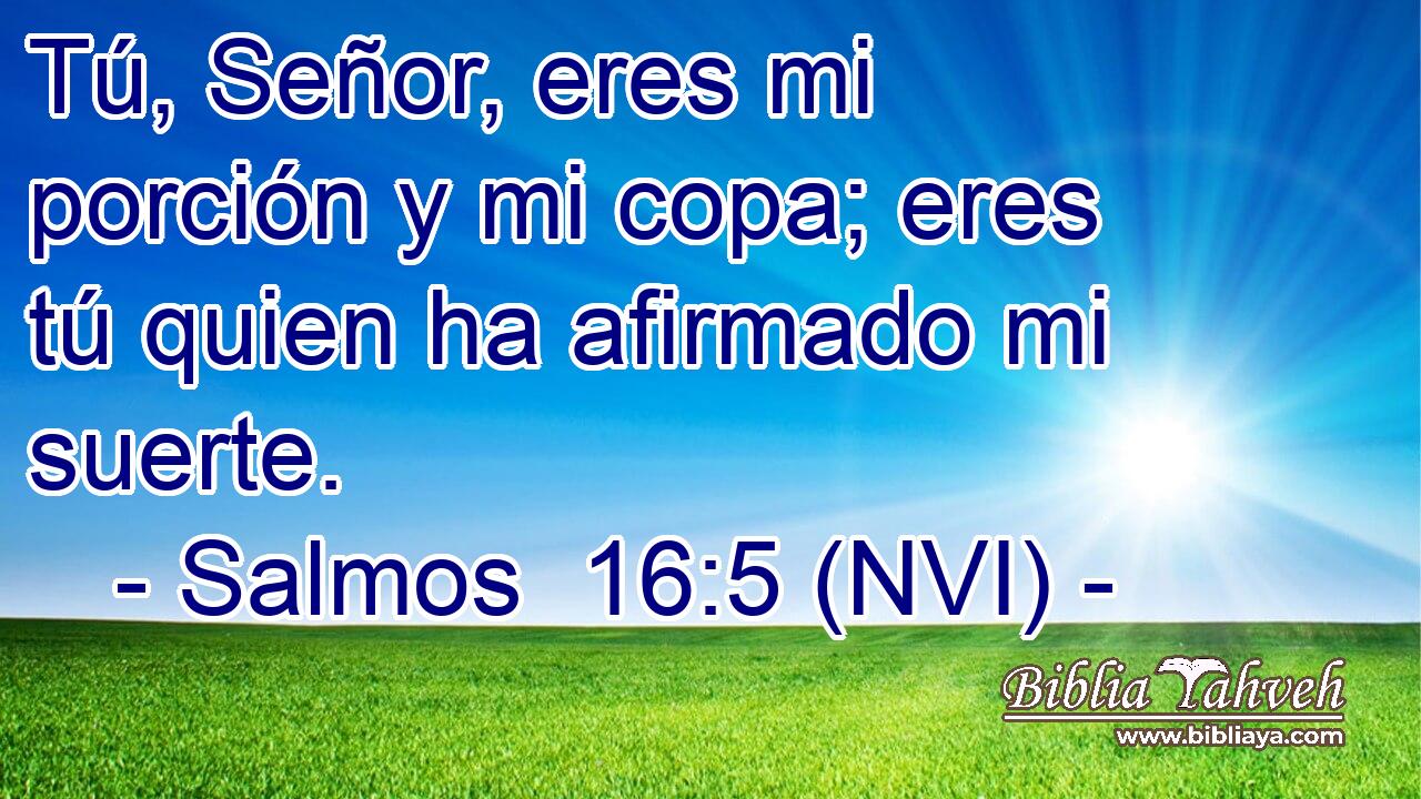  Tú, Señor, eres mi porción y mi copa; eres tú quien ha afirmado mi suerte. 