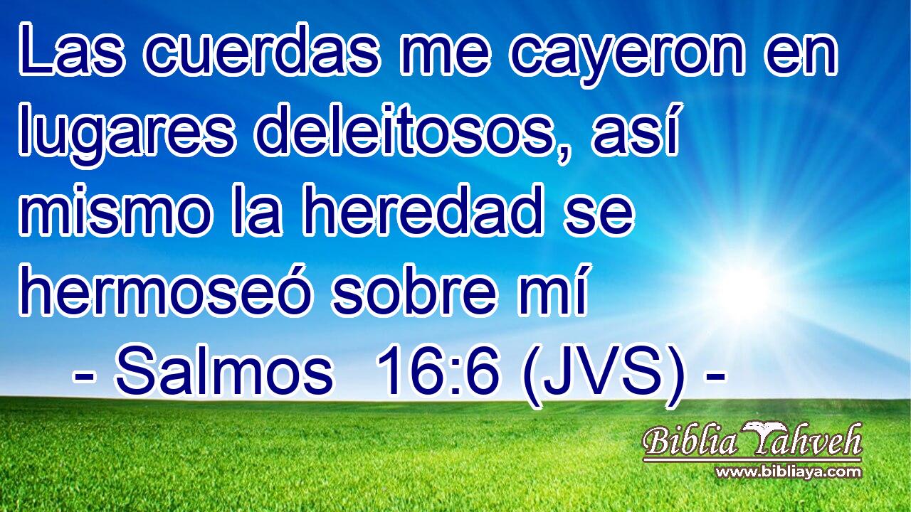 Las cuerdas me cayeron en lugares deleitosos, así mismo la heredad se hermoseó sobre mí