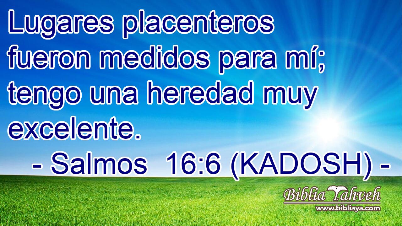  Lugares placenteros fueron medidos para mí; tengo una heredad muy excelente. 