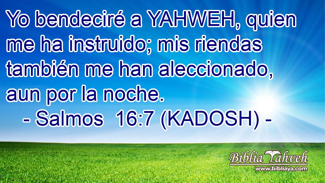  Yo bendeciré a YAHWEH, quien me ha instruido; mis riendas también me han aleccionado, aun por la noche. 
