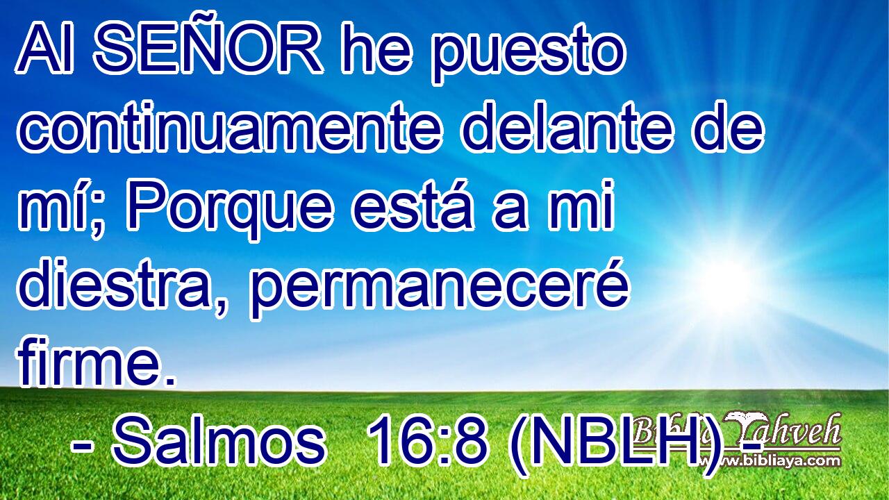  Al SEÑOR he puesto continuamente delante de mí; Porque está a mi diestra, permaneceré firme. 