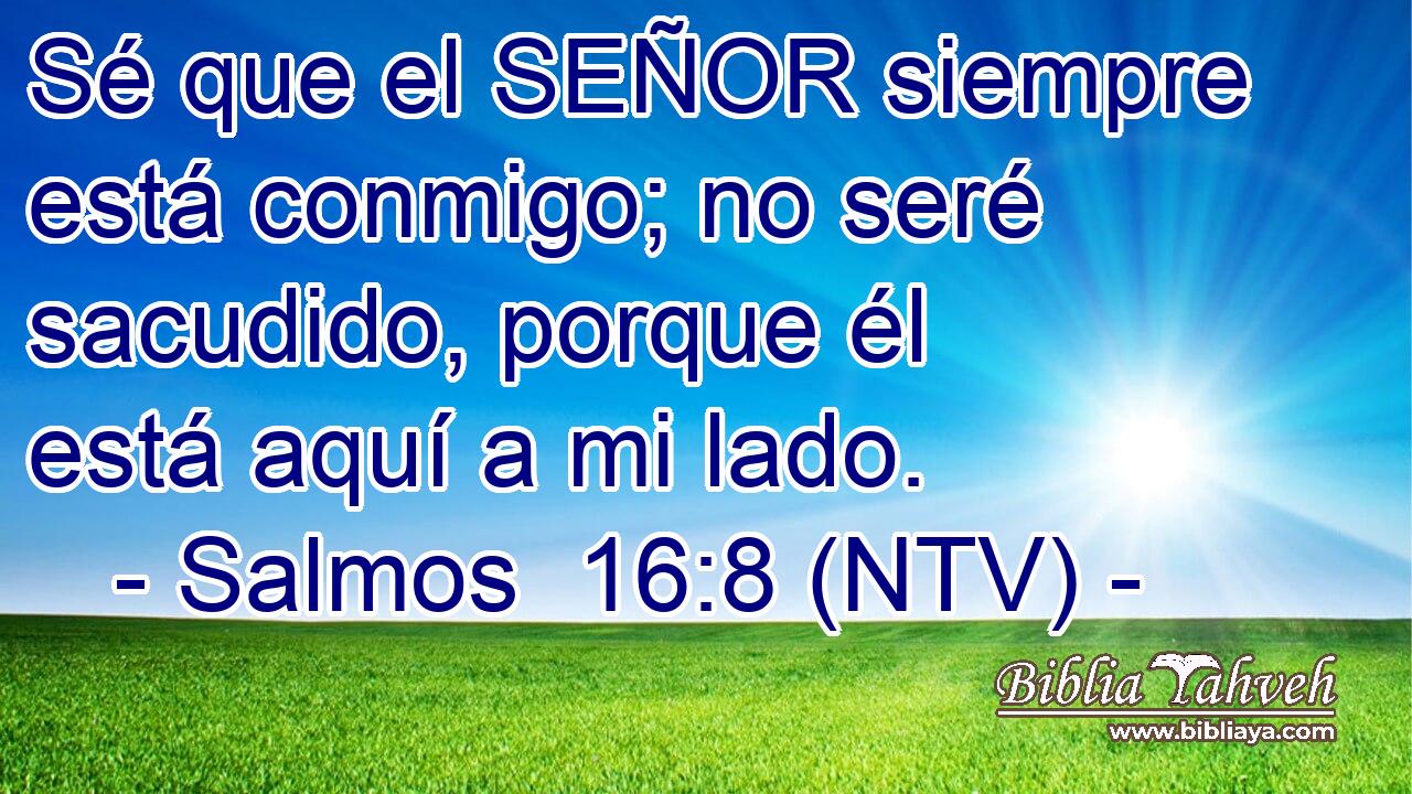 Sé que el SEÑOR siempre está conmigo; no seré sacudido, porque él está aquí a mi lado.