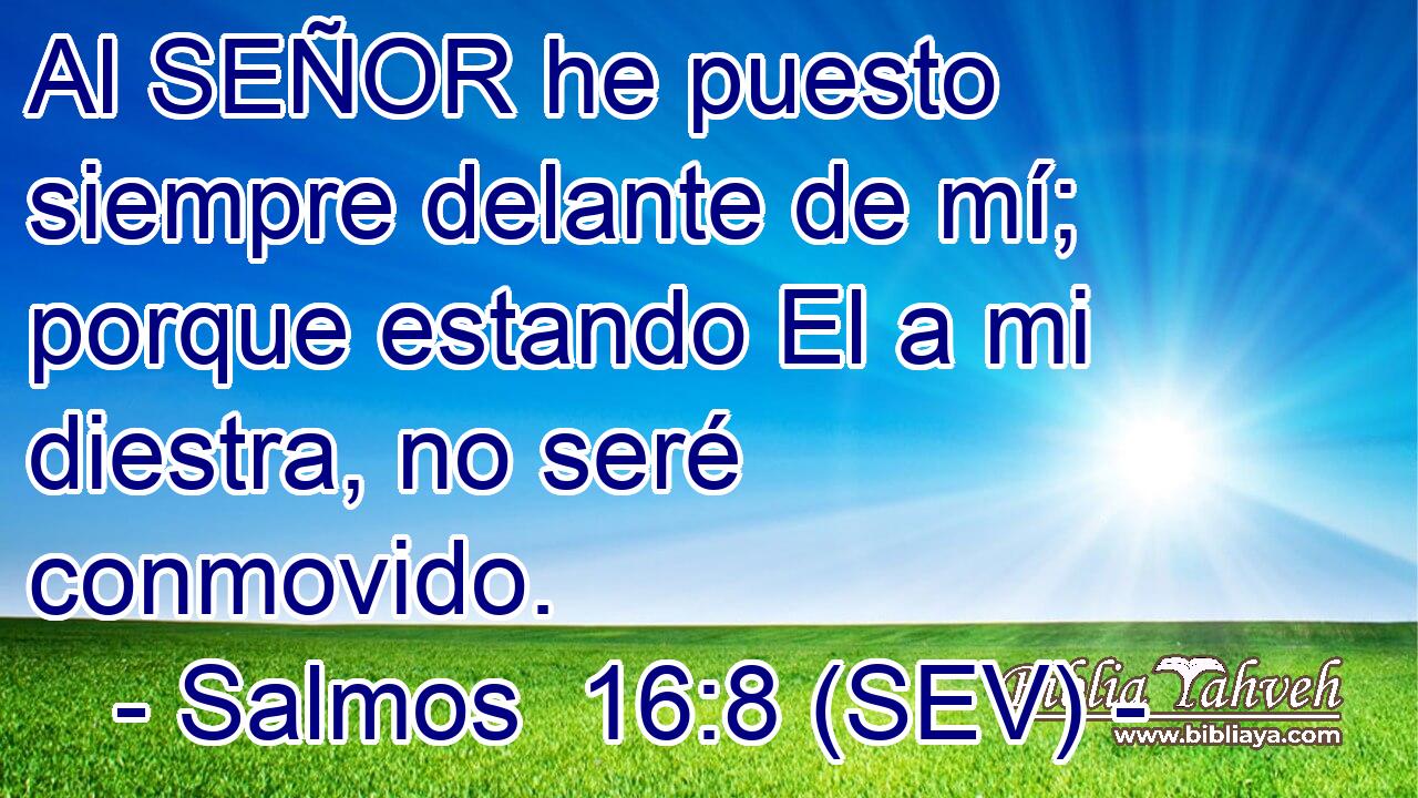 Al SEÑOR he puesto siempre delante de mí; porque estando El a mi diestra, no seré conmovido.