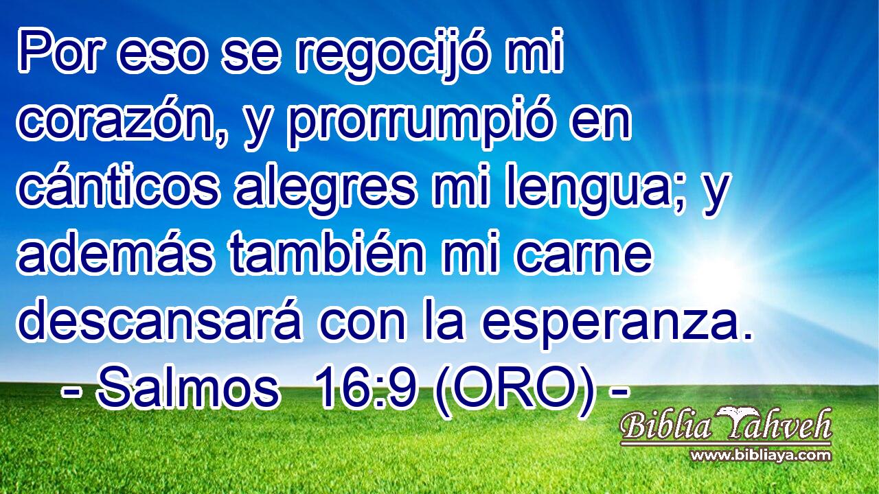  Por eso se regocijó mi corazón, y prorrumpió en cánticos alegres mi lengua; y además también mi carne descansará con la esperanza. 