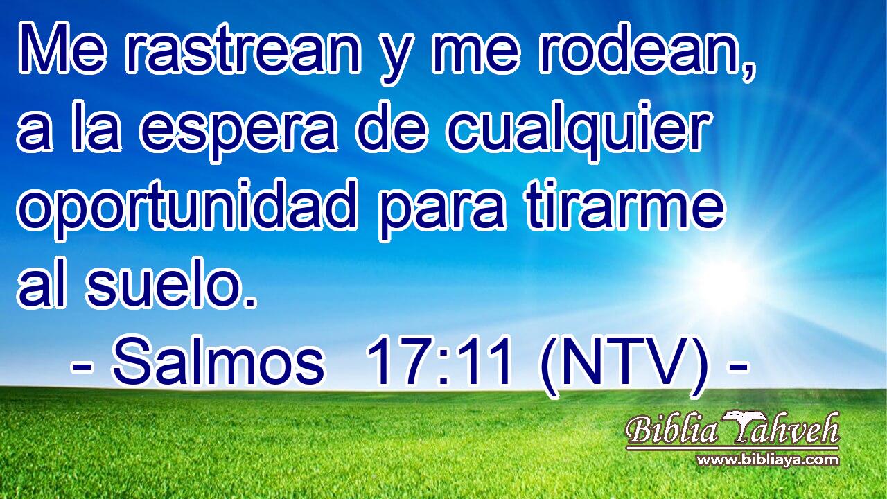 Me rastrean y me rodean, a la espera de cualquier oportunidad para tirarme al suelo.
