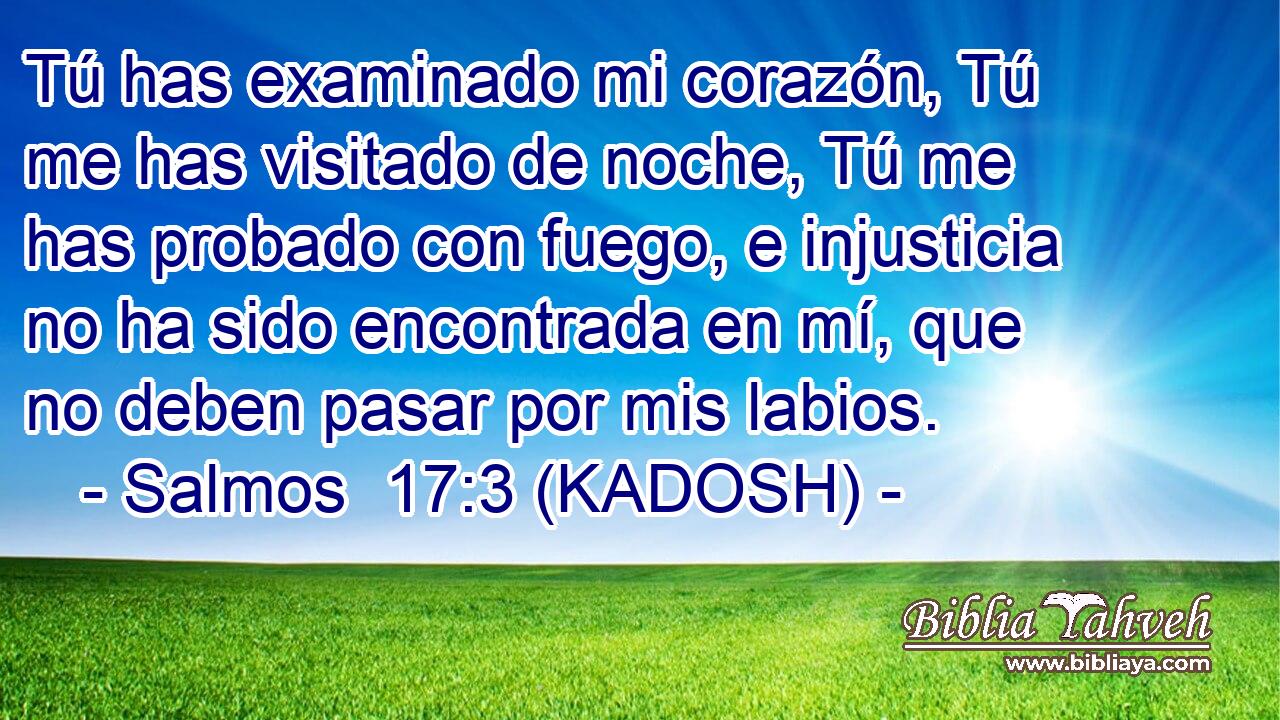  Tú has examinado mi corazón, Tú me has visitado de noche, Tú me has probado con fuego, e injusticia no ha sido encontrada en mí, que no deben pasar por mis labios. 