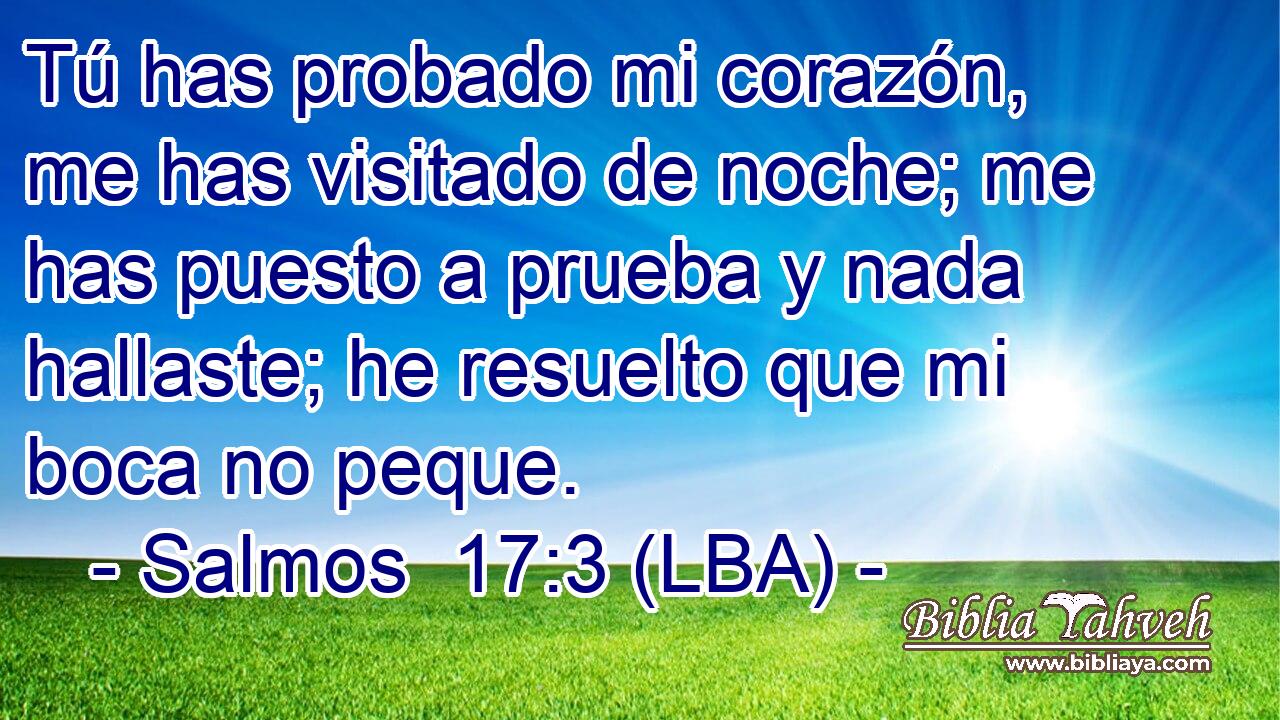 Tú has probado mi corazón, me has visitado de noche; me has puesto a prueba y nada hallaste; he resuelto que mi boca no peque.