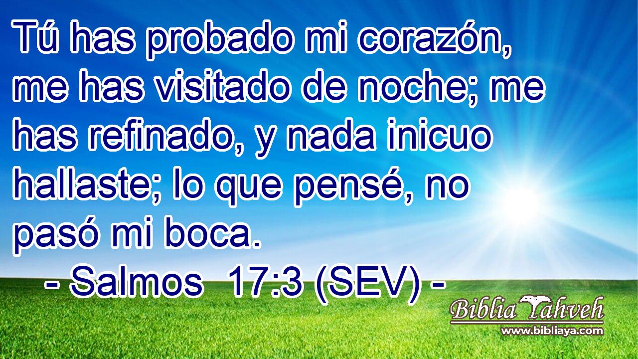 Tú has probado mi corazón, me has visitado de noche; me has refinado, y nada inicuo hallaste; lo que pensé, no pasó mi boca.