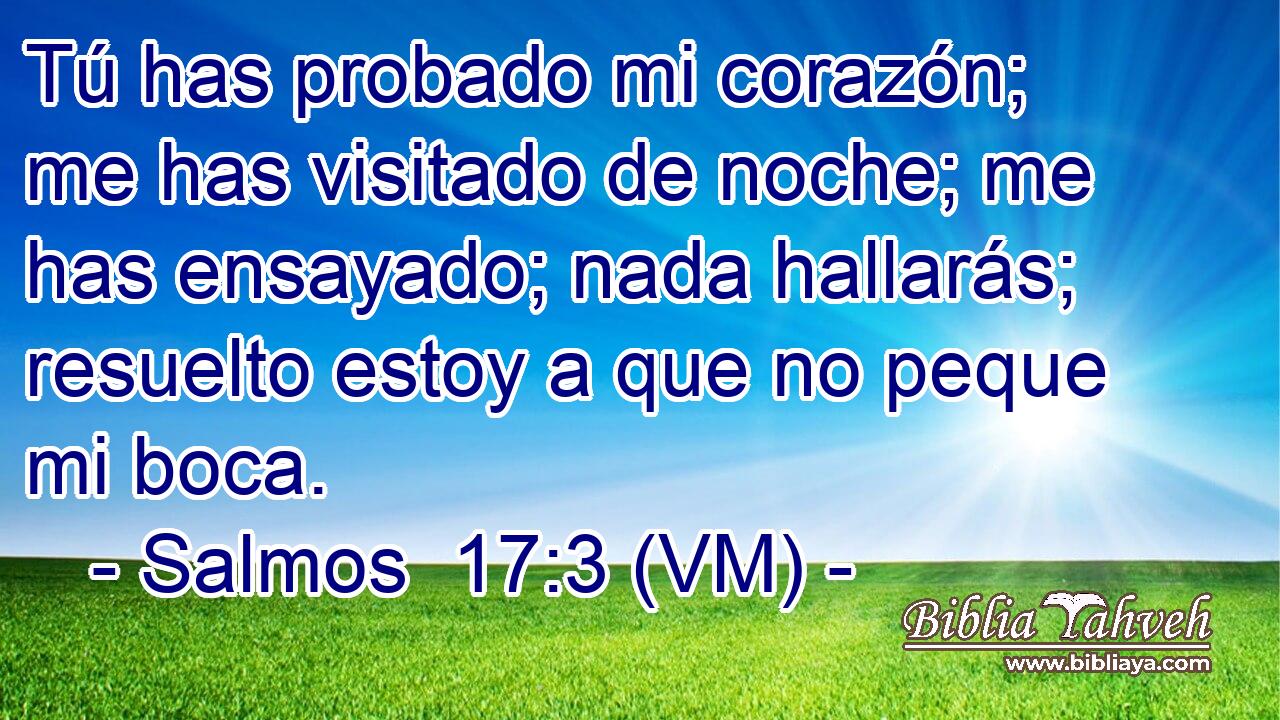  Tú has probado mi corazón; me has visitado de noche; me has ensayado; nada hallarás; resuelto estoy a que no peque mi boca. 