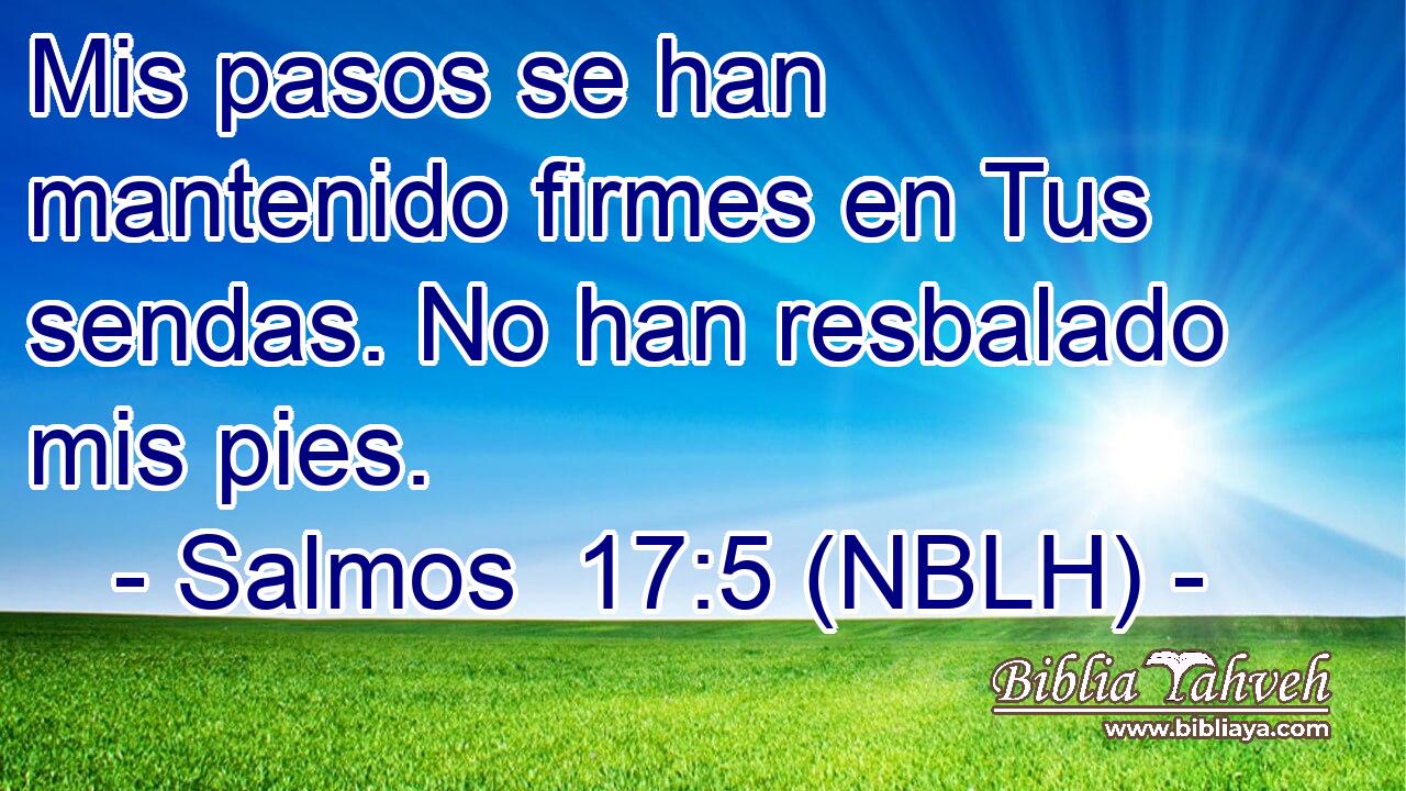  Mis pasos se han mantenido firmes en Tus sendas. No han resbalado mis pies. 