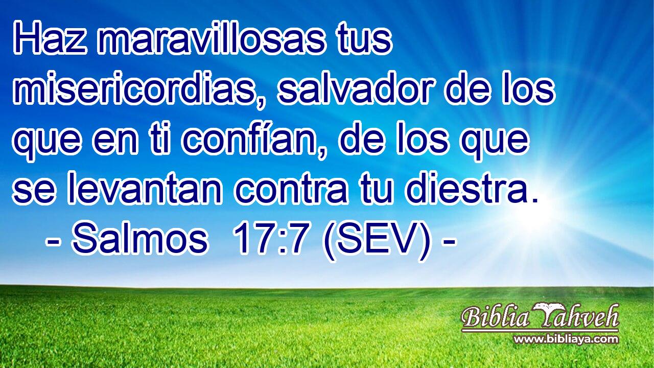 Haz maravillosas tus misericordias, salvador de los que en ti confían, de los que se levantan contra tu diestra.