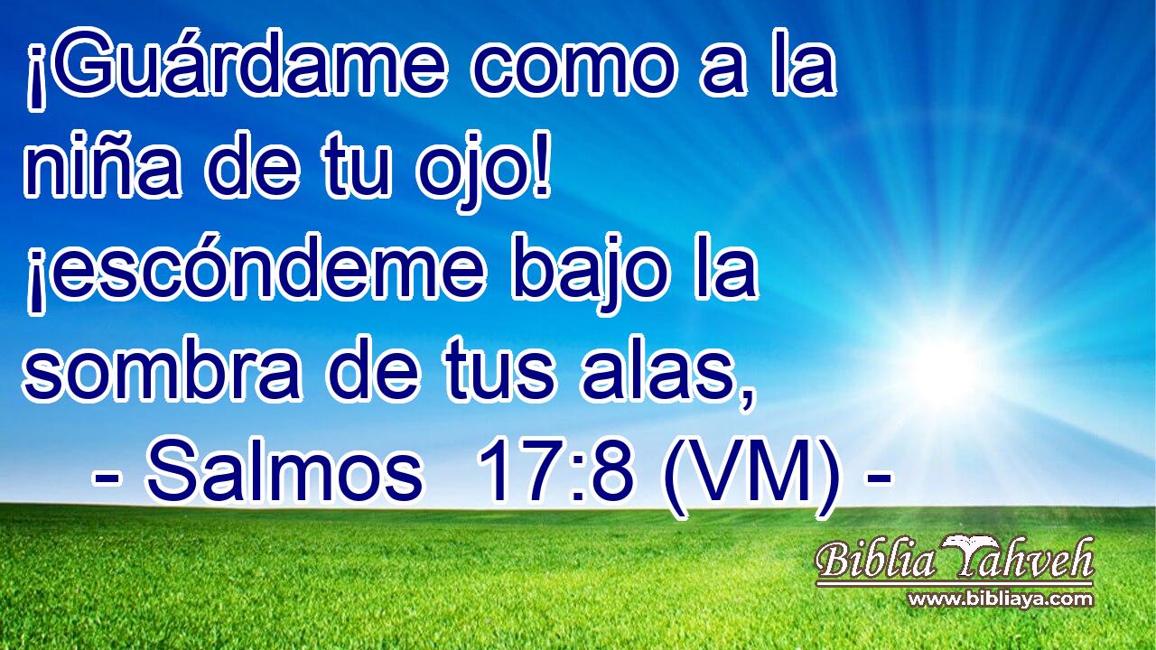  ¡Guárdame como a la niña de tu ojo! ¡escóndeme bajo la sombra de tus alas, 