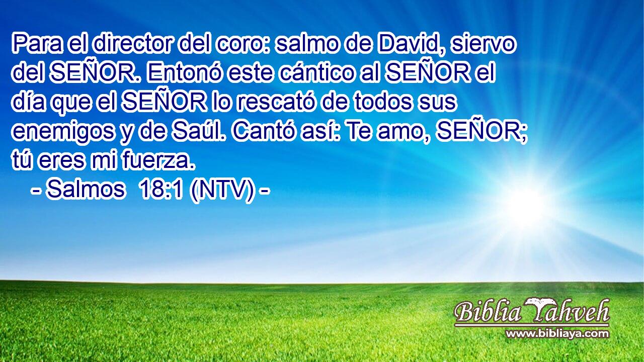 Para el director del coro: salmo de David, siervo del SEÑOR. Entonó este cántico al SEÑOR el día que el SEÑOR lo rescató de todos sus enemigos y de Saúl. Cantó así: Te amo, SEÑOR; tú eres mi fuerza.
