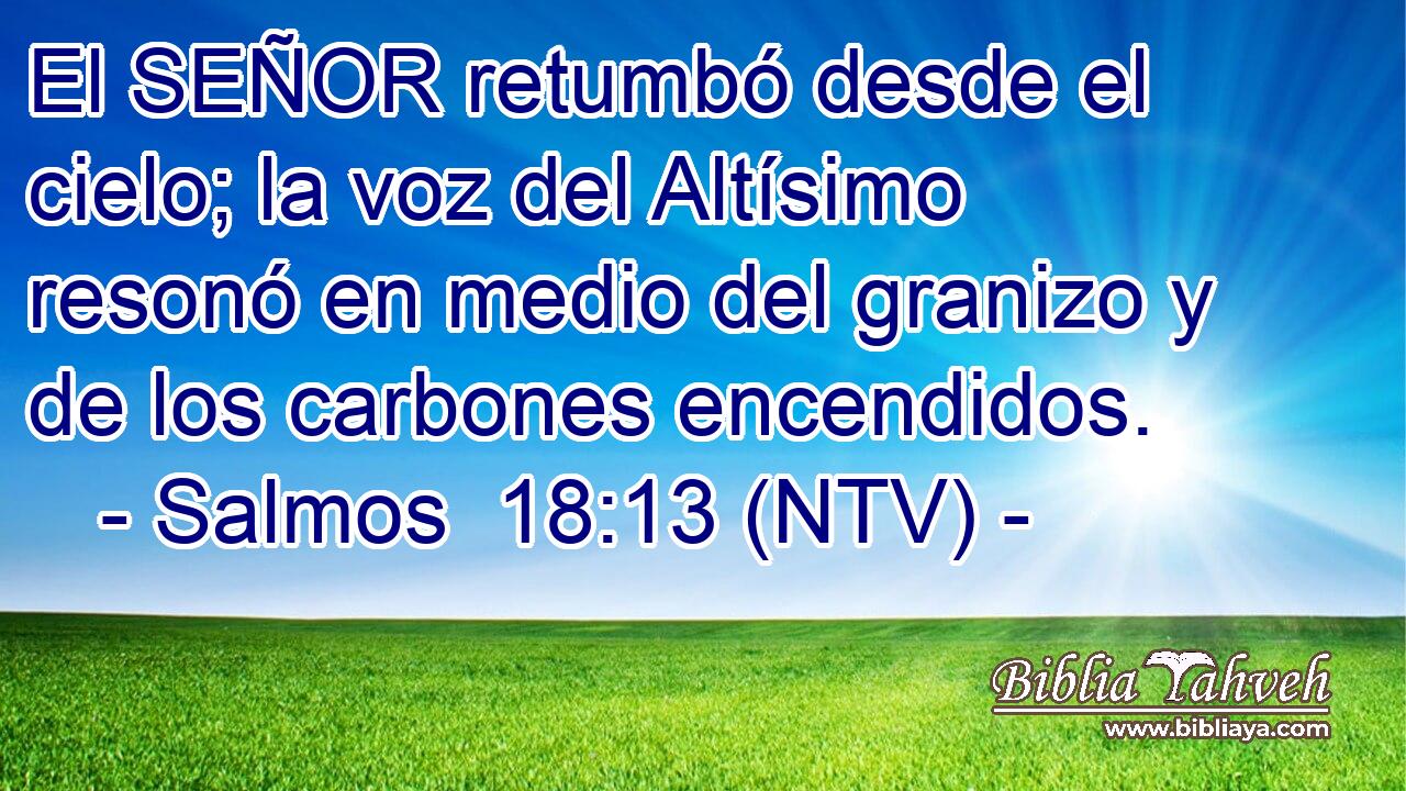 El SEÑOR retumbó desde el cielo; la voz del Altísimo resonó en medio del granizo y de los carbones encendidos.