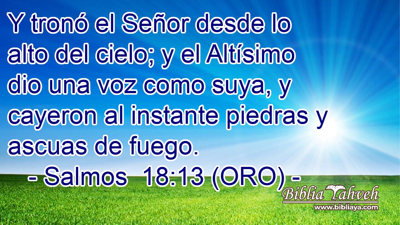  Y tronó el Señor desde lo alto del cielo; y el Altísimo dio una voz como suya, y cayeron al instante piedras y ascuas de fuego. 