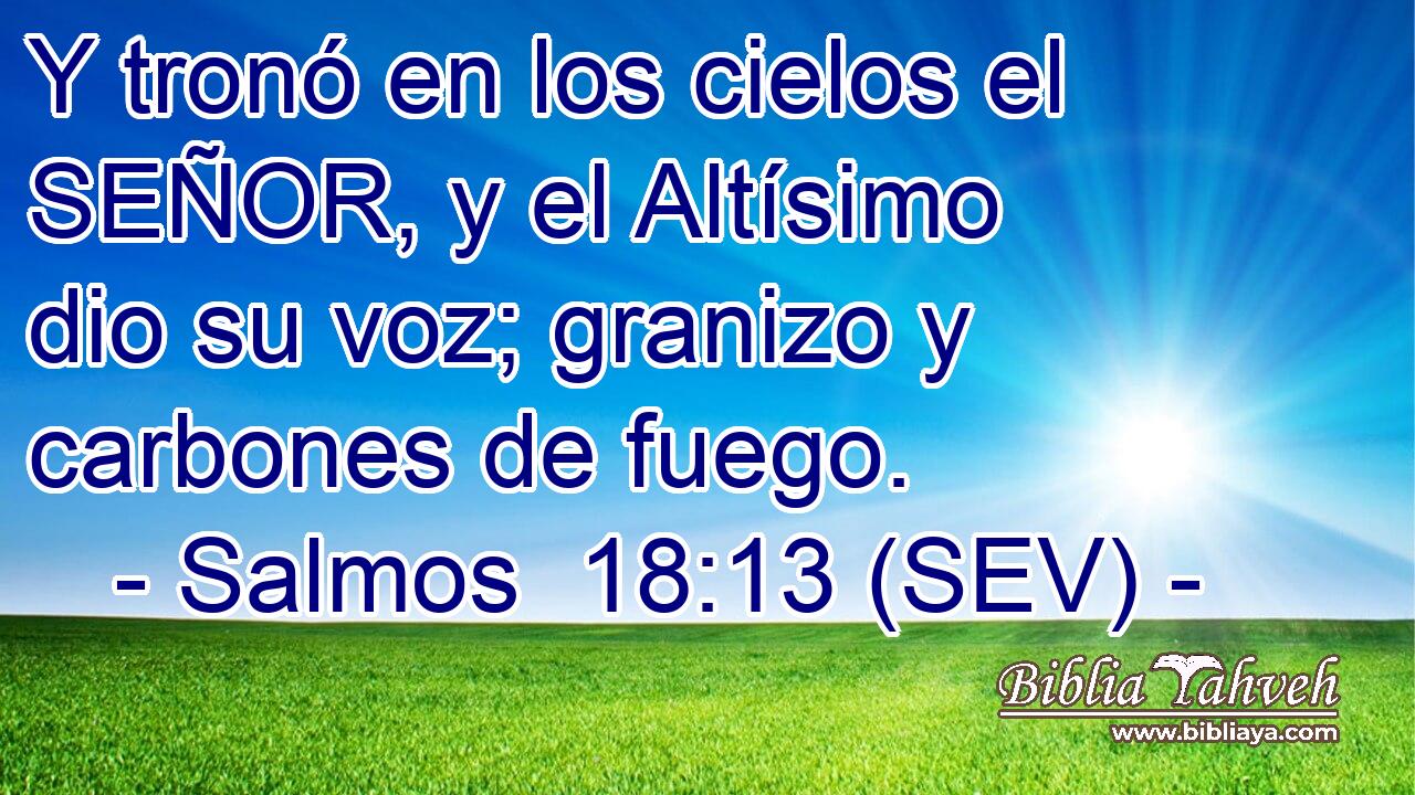 Y tronó en los cielos el SEÑOR, y el Altísimo dio su voz; granizo y carbones de fuego.