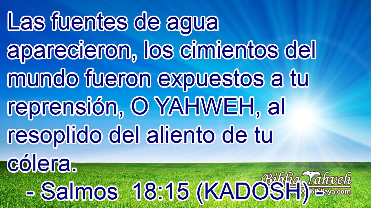  Las fuentes de agua aparecieron, los cimientos del mundo fueron expuestos a tu reprensión, O YAHWEH, al resoplido del aliento de tu cólera. 