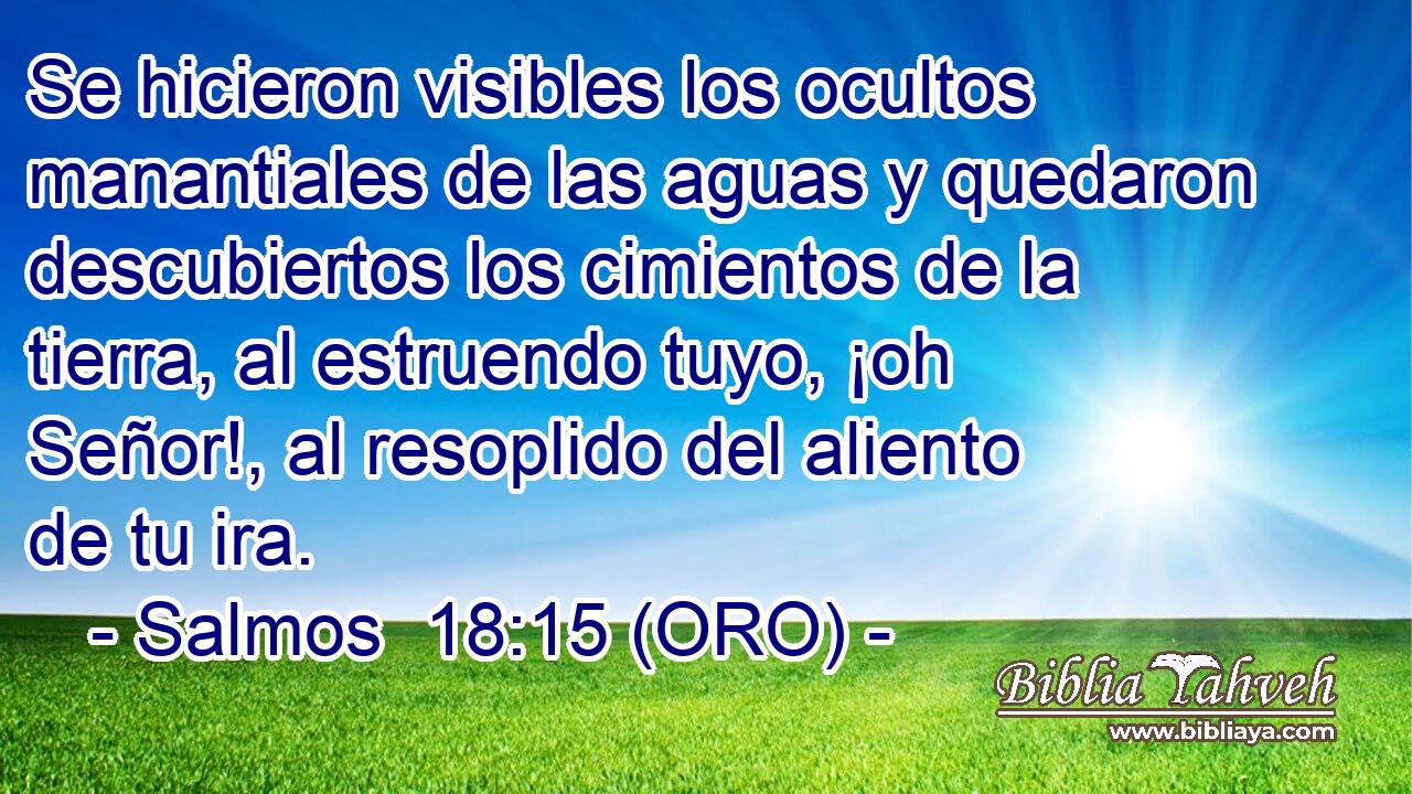  Se hicieron visibles los ocultos manantiales de las aguas y quedaron descubiertos los cimientos de la tierra, al estruendo tuyo, ¡oh Señor!, al resoplido del aliento de tu ira. 