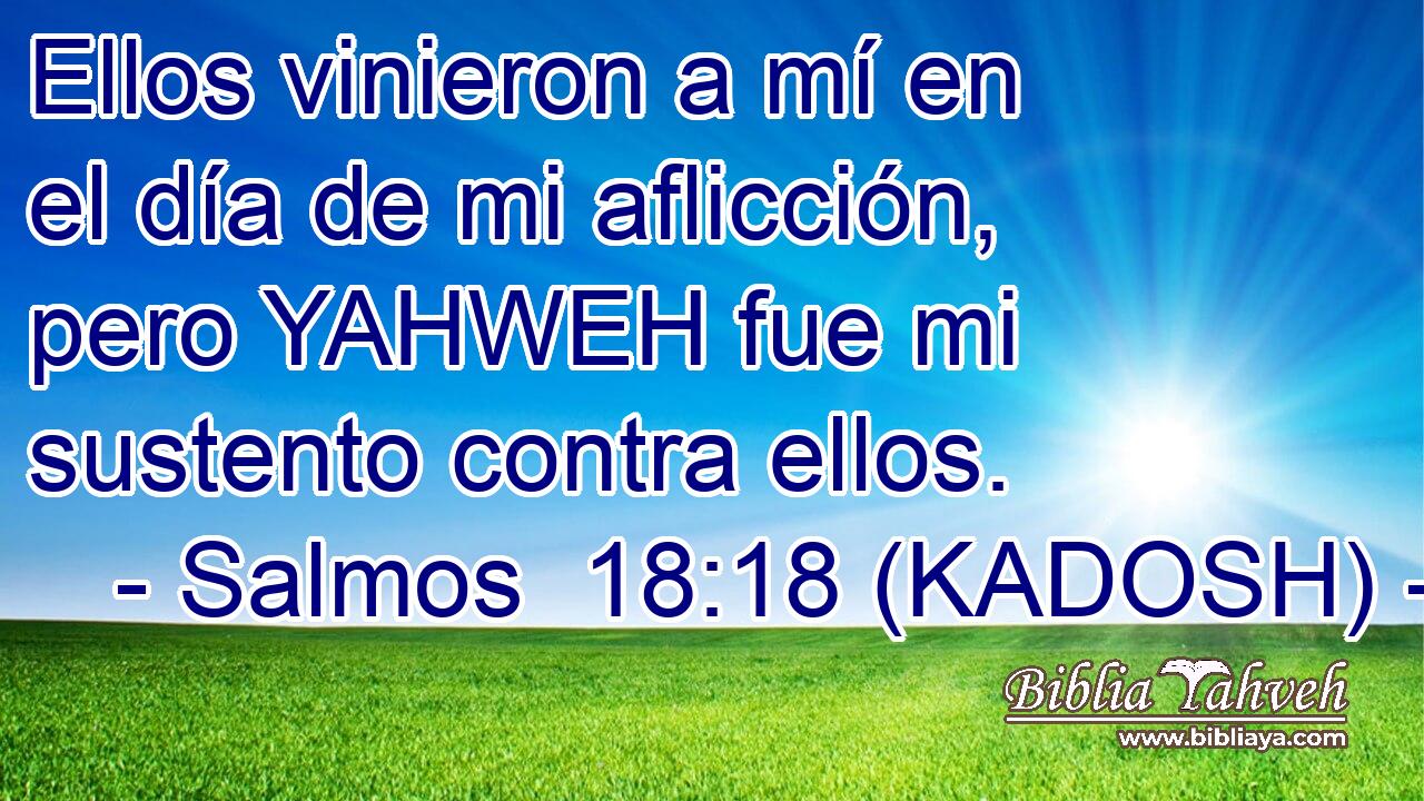  Ellos vinieron a mí en el día de mi aflicción, pero YAHWEH fue mi sustento contra ellos. 