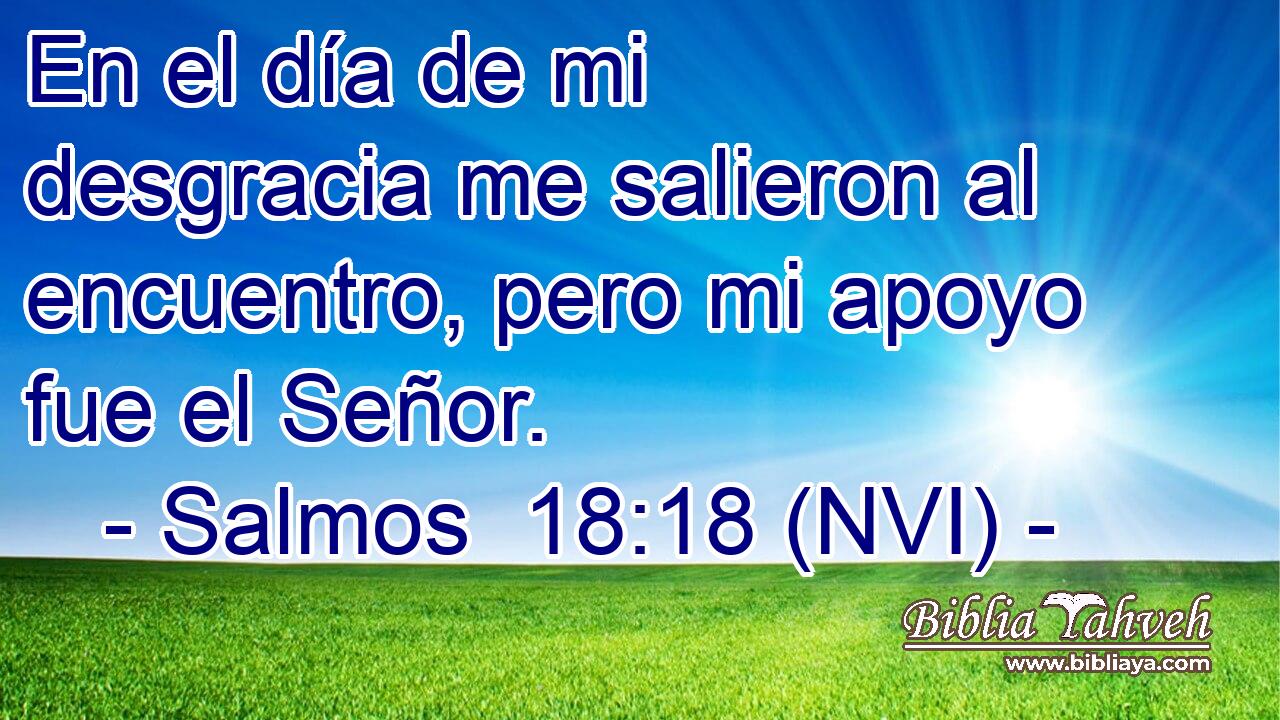  En el día de mi desgracia me salieron al encuentro, pero mi apoyo fue el Señor. 