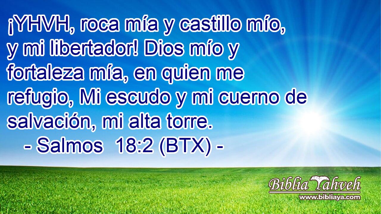 ¡YHVH, roca mía y castillo mío, y mi libertador! Dios mío y fortaleza mía, en quien me refugio, Mi escudo y mi cuerno de salvación, mi alta torre.